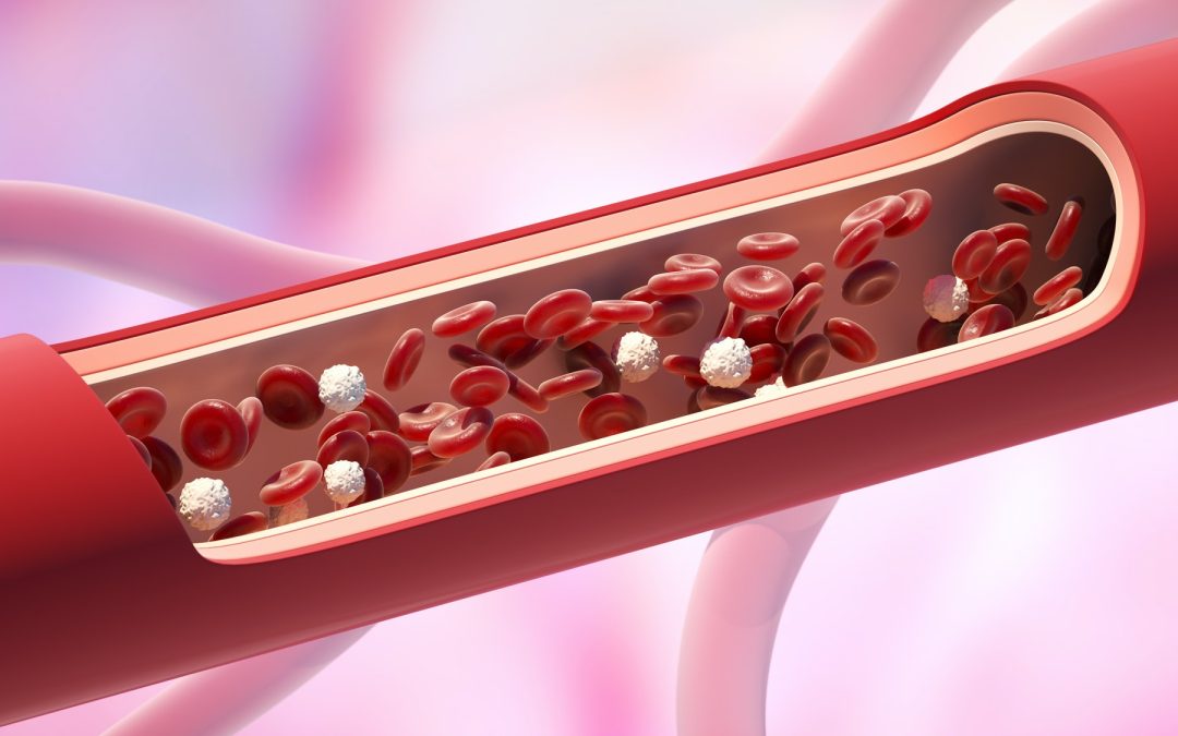 How to Strengthen Blood Vessels Naturally